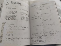 🐌 Fantastic Skincare: Vanities Are The New Shelf Porn