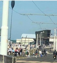 Seadide stupidly busy