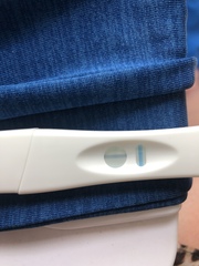 Tesco pregnancy tests