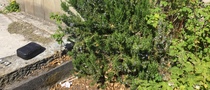 please help me join up the bits of my garden