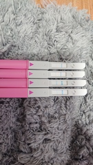 Ovulation or Pregnant????