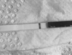 Anyone want to join me...2dpo