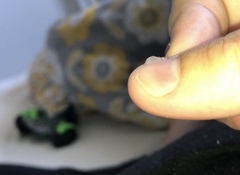 23 weeks pregnant, discharge or plug?