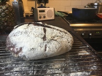 Calling sourdough starter experts!