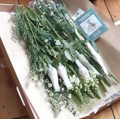 Anyone know a good flower delivery company?