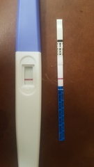 Implantation?? Weird period?