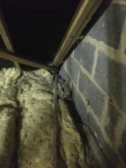 What on earth is this in my attic?