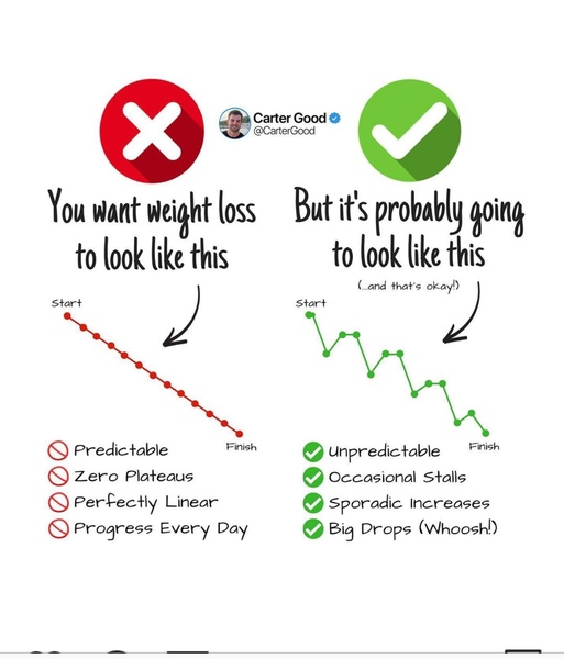 Losing pound a day
