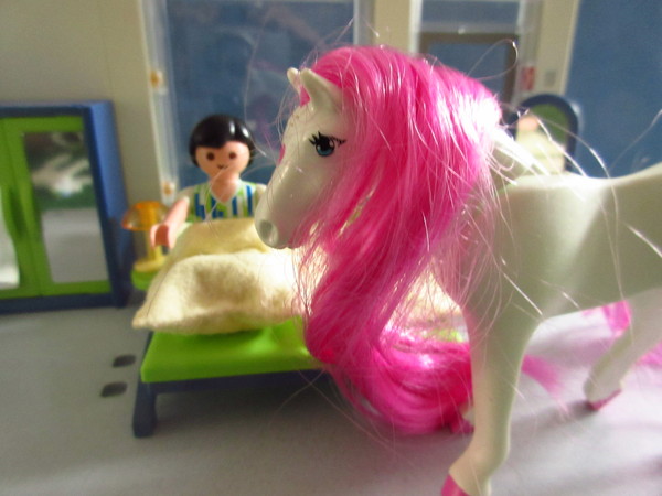 Playmobil pandemic in our house part 2