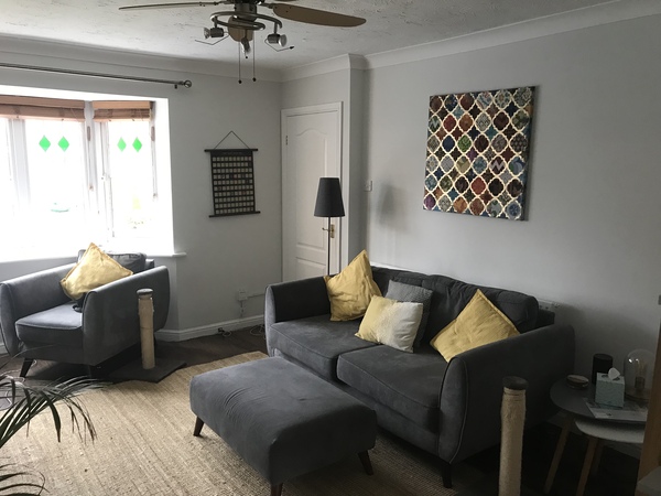 Help me style my lounge
