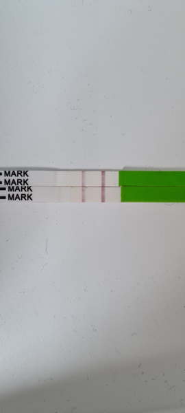 Ovulation test? Advice please...