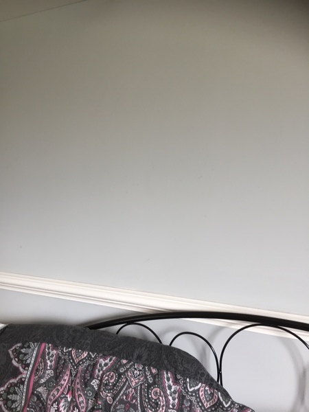 Please show me your pale gray walls!
