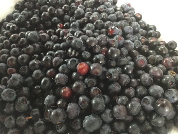 I am the only person in the world who doesn’t love blueberries?