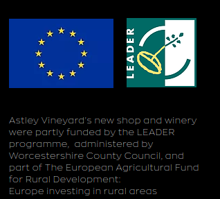 Westminstenders: Where are we now?