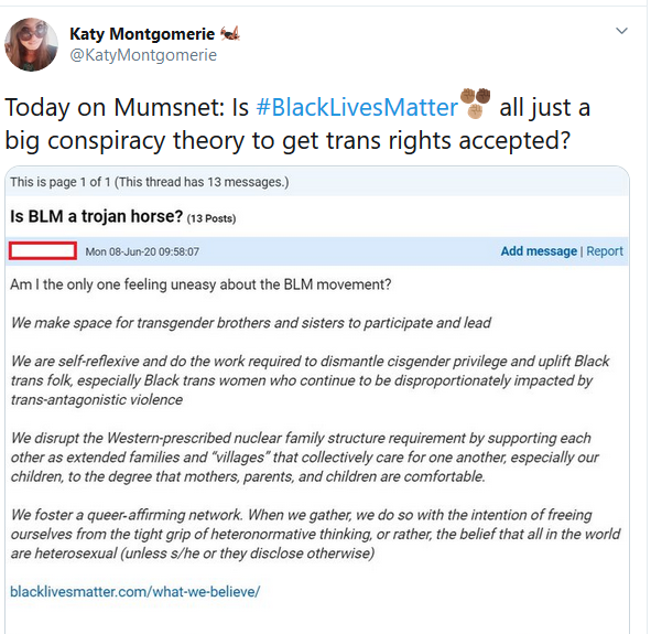 Is BLM a trojan horse?