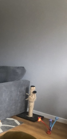 Please show me your pale gray walls!