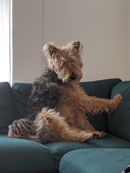 Erm this is a weird one?