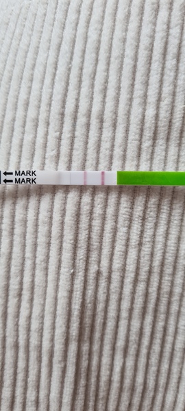 Ovulation test? Advice please...