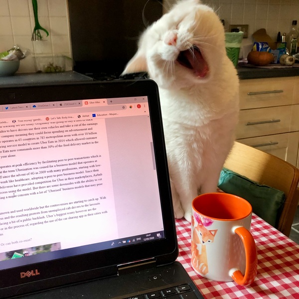 Outfit of the Day Thread - still shopping our wardrobes