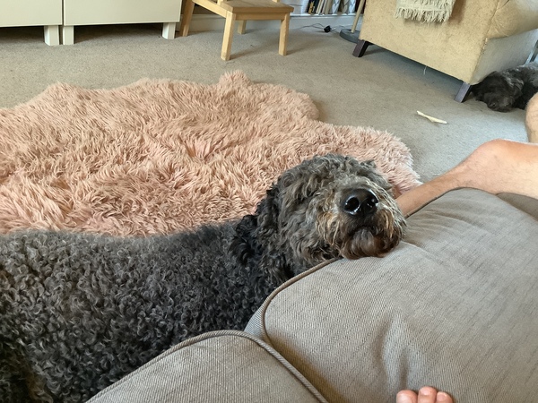 A thread for calm - peace, happy thoughts, support.