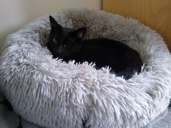 Staying warm WFH?