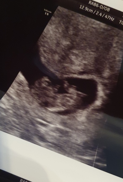 January 2021 due date bus 4