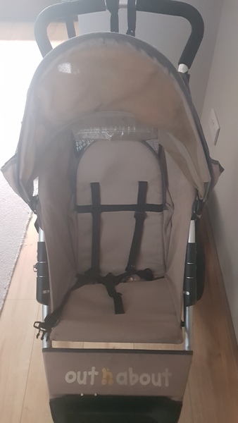 Has anyone ever dyed a buggy?