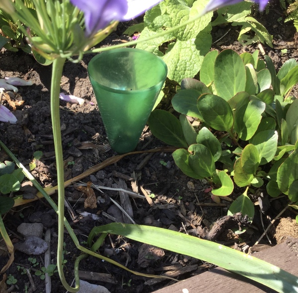 What are these please?