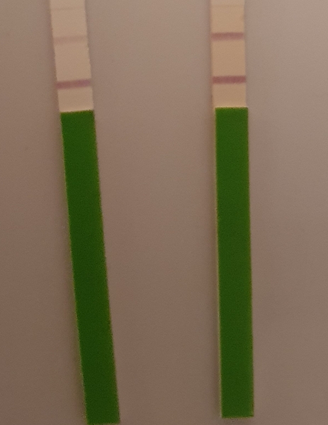 Is this OV test positive?? Photo attached