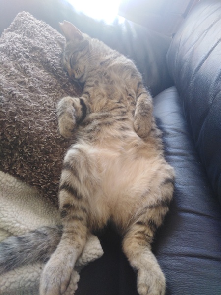 To cheer you up on this miserable wet day