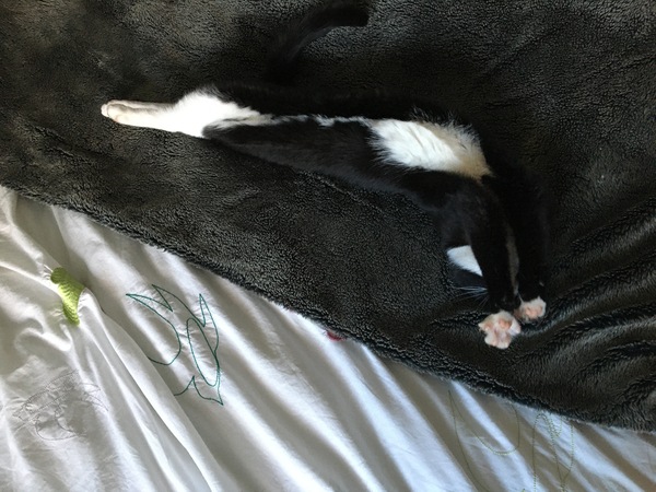 Outfit of the Day Thread - still shopping our wardrobes