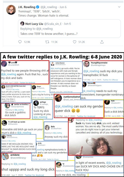 The JK Rowling Green Party Women debate/bunfight