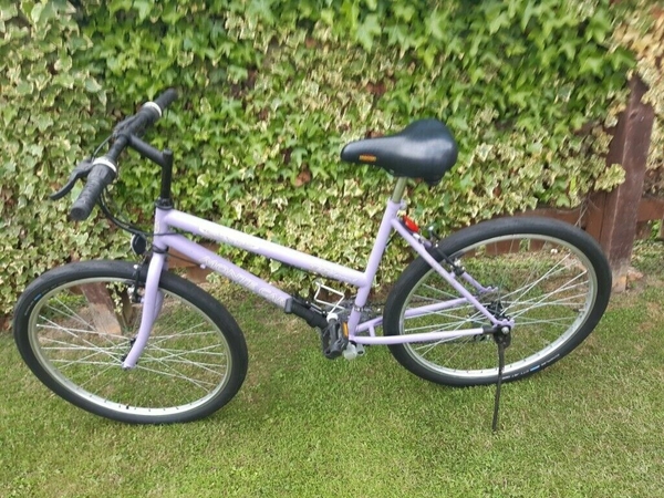 Eeek! I just bought a bike....