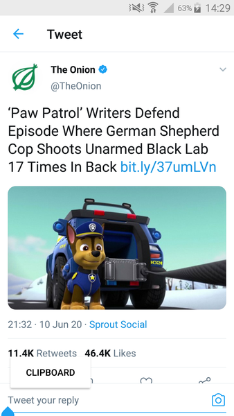 Is Paw Patrol Racist?