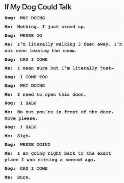 Dog keeps following me!