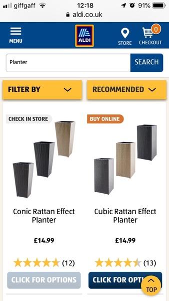 Tall narrow planters for either side of front door?