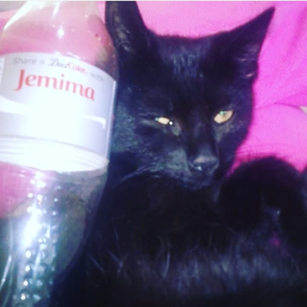 The Naming of Cats