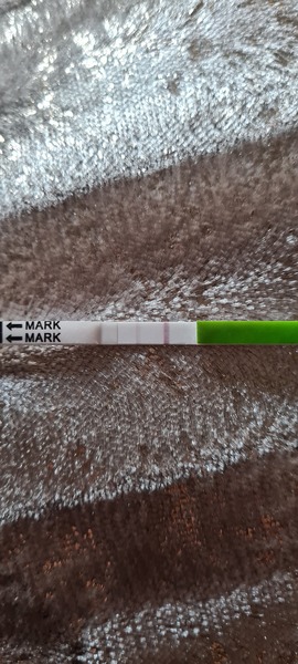 Ovulation test? Advice please...
