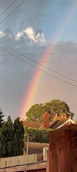 Penguin huddle 🐧🐧🐧 TTC after pregnancy loss - Thread 35 - time for some sticky BFP's