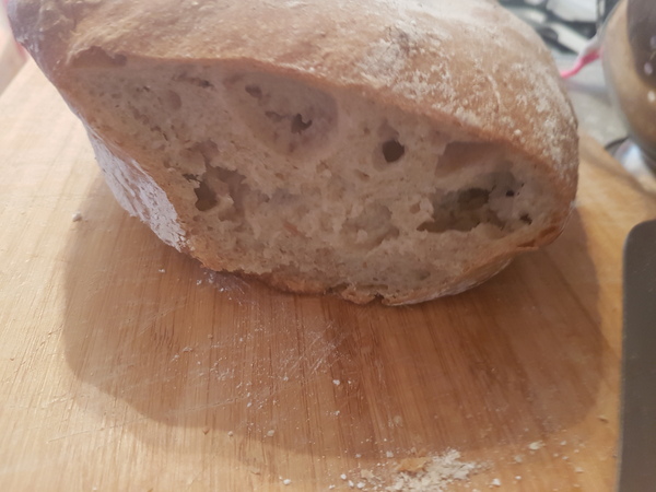 Sourdough rising problems