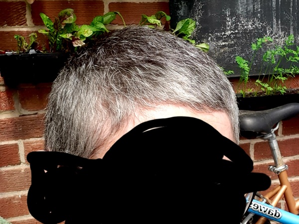 When did you start going grey?