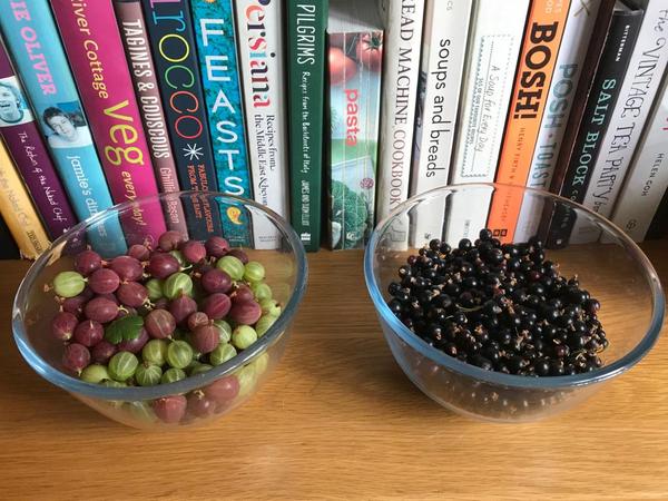 Allotment/Veg Patch Thread 15 - will winter ever end?