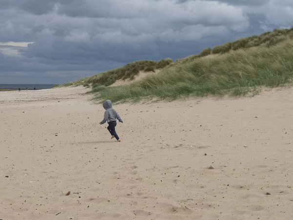 To clap my hands and skip about in a elephantine manner?