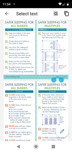 👣 Due Late Nov/Early Dec it's bump time! 👣