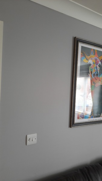 Please show me your pale gray walls!