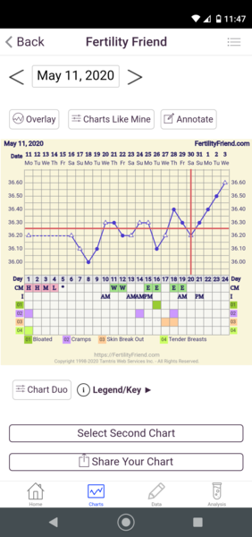 Have I ovulated?