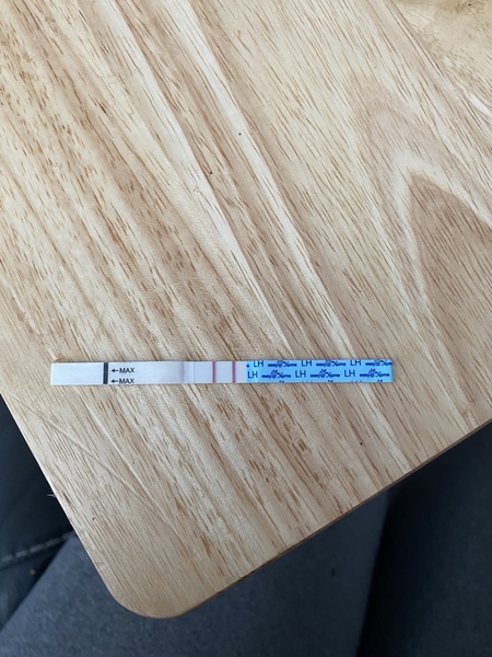 Help re ovulation kit