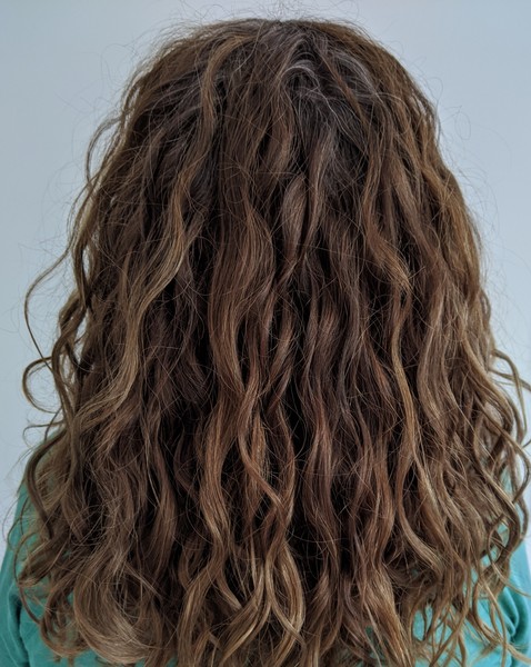 ➿ Fantastic Haircare: Making Sense and Science of the Curly Girl Method