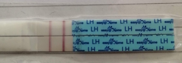 Help reading OPK  !