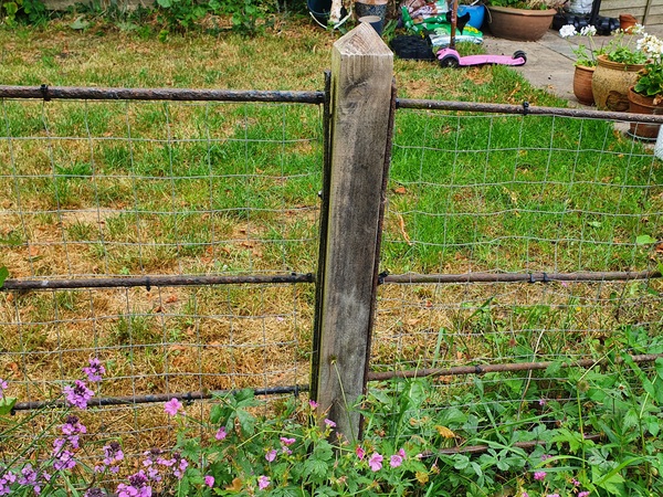 Creative solutions needed for dog-proofing fence!